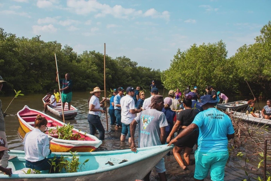 Una jornada poderosa en defensa del manglar: compromiso y acción por nuestros ecosistemas